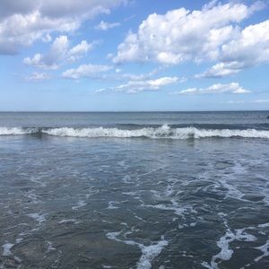 Meet your Posher, Shauna